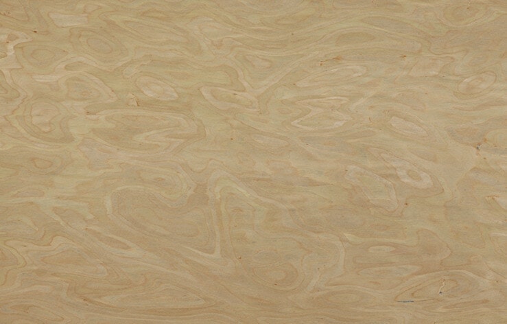 birch veneer