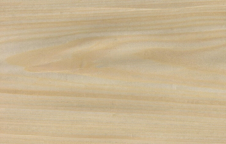 maple veneer