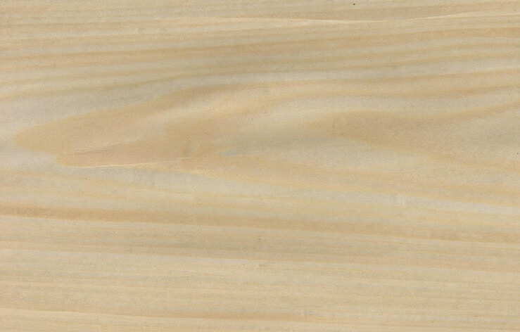 maple veneer sheets