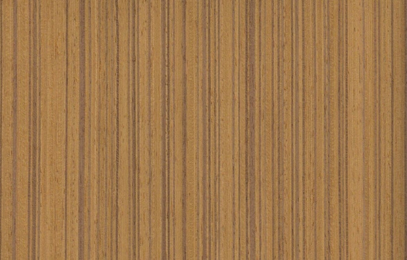 teak wood veneer | EV reconstituted teak wood veneer | WoodenAve.com