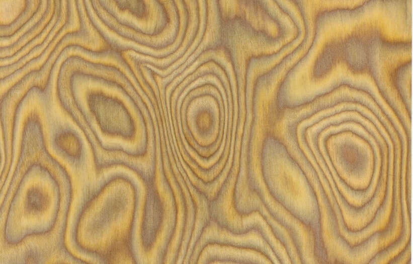 burr oak veneer
