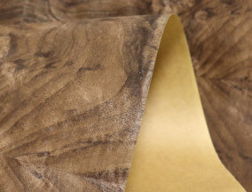 paper back walnut burl veneer