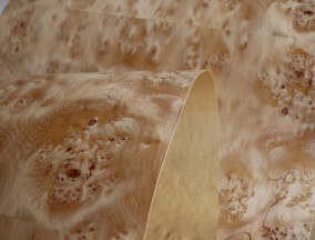 Fir Burl