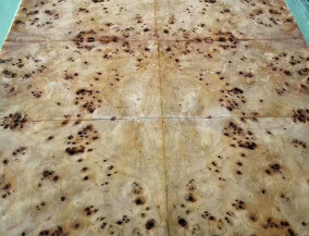 Mappa Burl veneer sheet