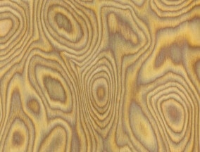 Oak burl veneer