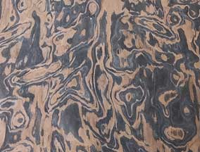 engineered ebony burl veneer