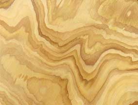 engineered golden burl veneer