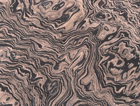 enigneered walnut burl veneer 2819n