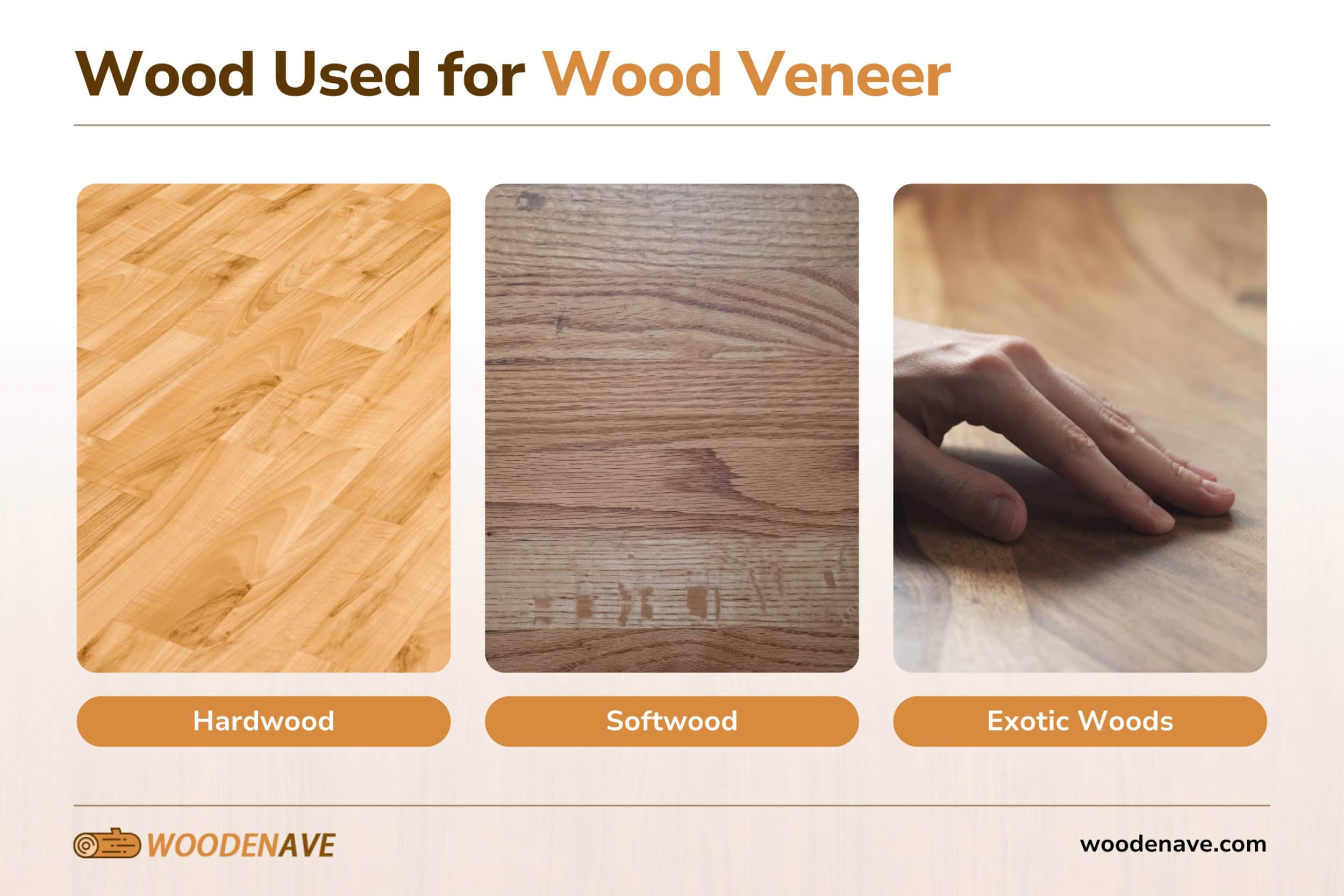 wood used for wood veneer